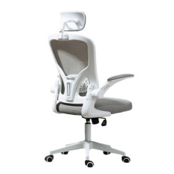 Ghế Văn Phòng Manson Regal | Màu Xám, Công thái học, Tay Gập