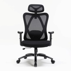 Ghế công thái học WARRIOR Hero WEC501 Plus | Đen, 120kg, Chân xoay, Lưng lưới