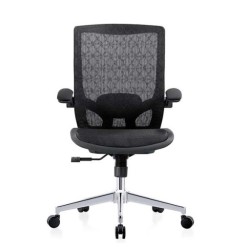 Ghế công thái học E DRA EEC217 | Đen, 120kg, Chân xoay, Lưng lưới