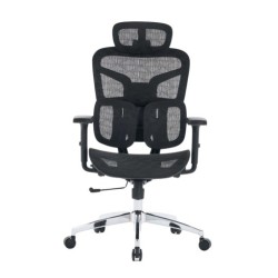Ghế công thái học E DRA EEC226 | Đen, Chân xoay, Lưng lưới