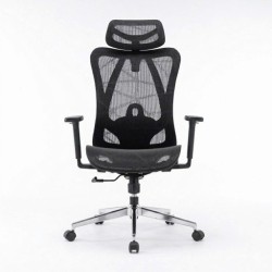 Ghế công thái học E DRA EEC225 | Đen, 150kg, Chân xoay, Lưng lưới
