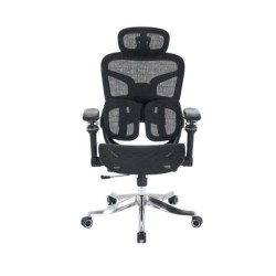 Ghế công thái học E DRA EEC227 | Đen, Chân xoay, Lưng lưới