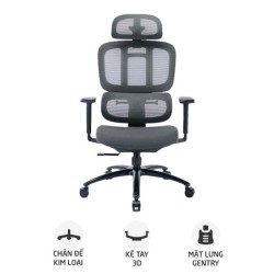 Ghế công thái học WARRIOR Hero WEC509 | Đen xám, 150kg, Chân xoay, Lưng lưới